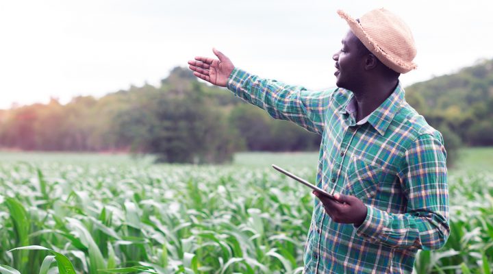 agriculture de futur